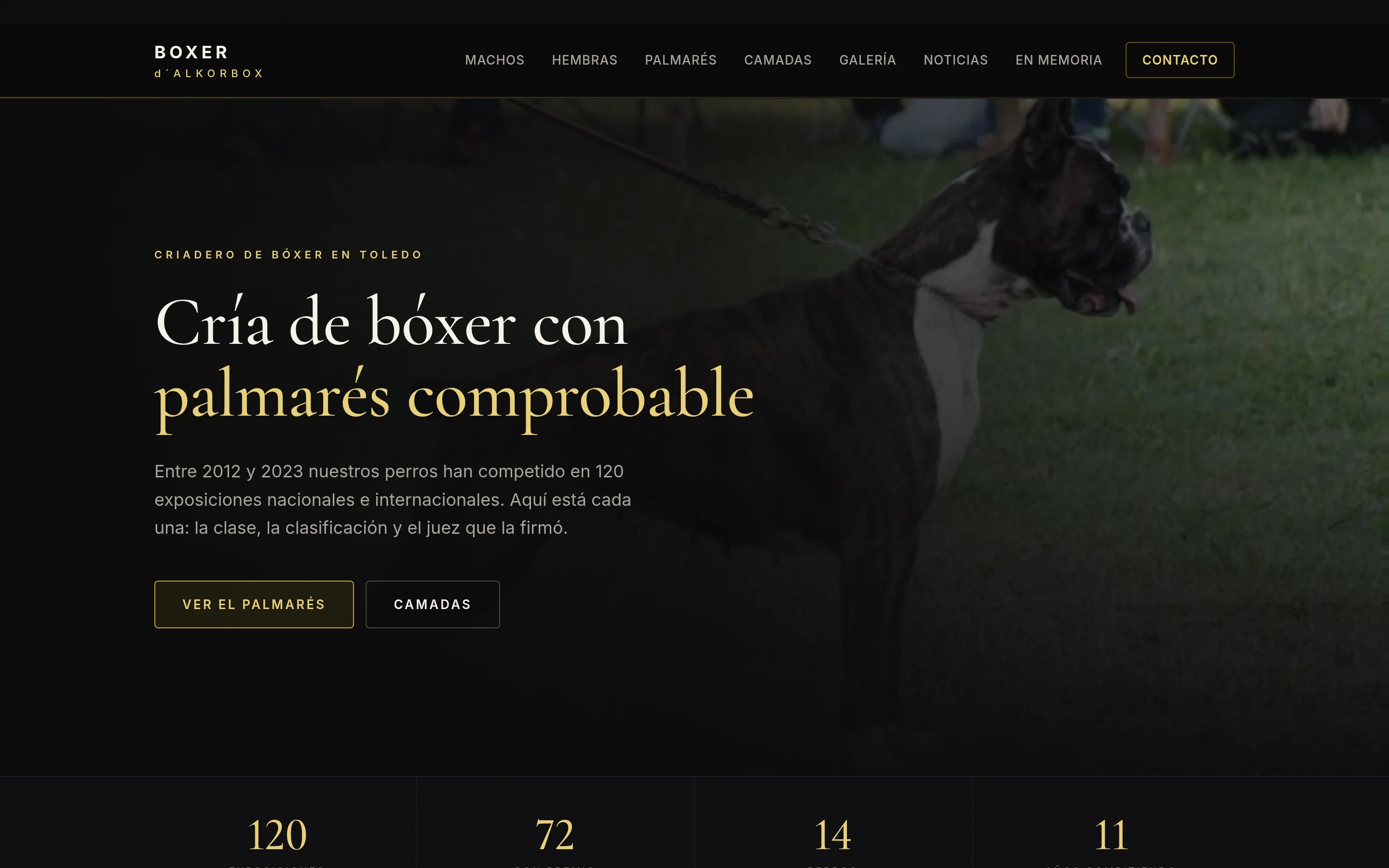 Criadero canino: 120 exposiciones rescatadas de una copia de seguridad