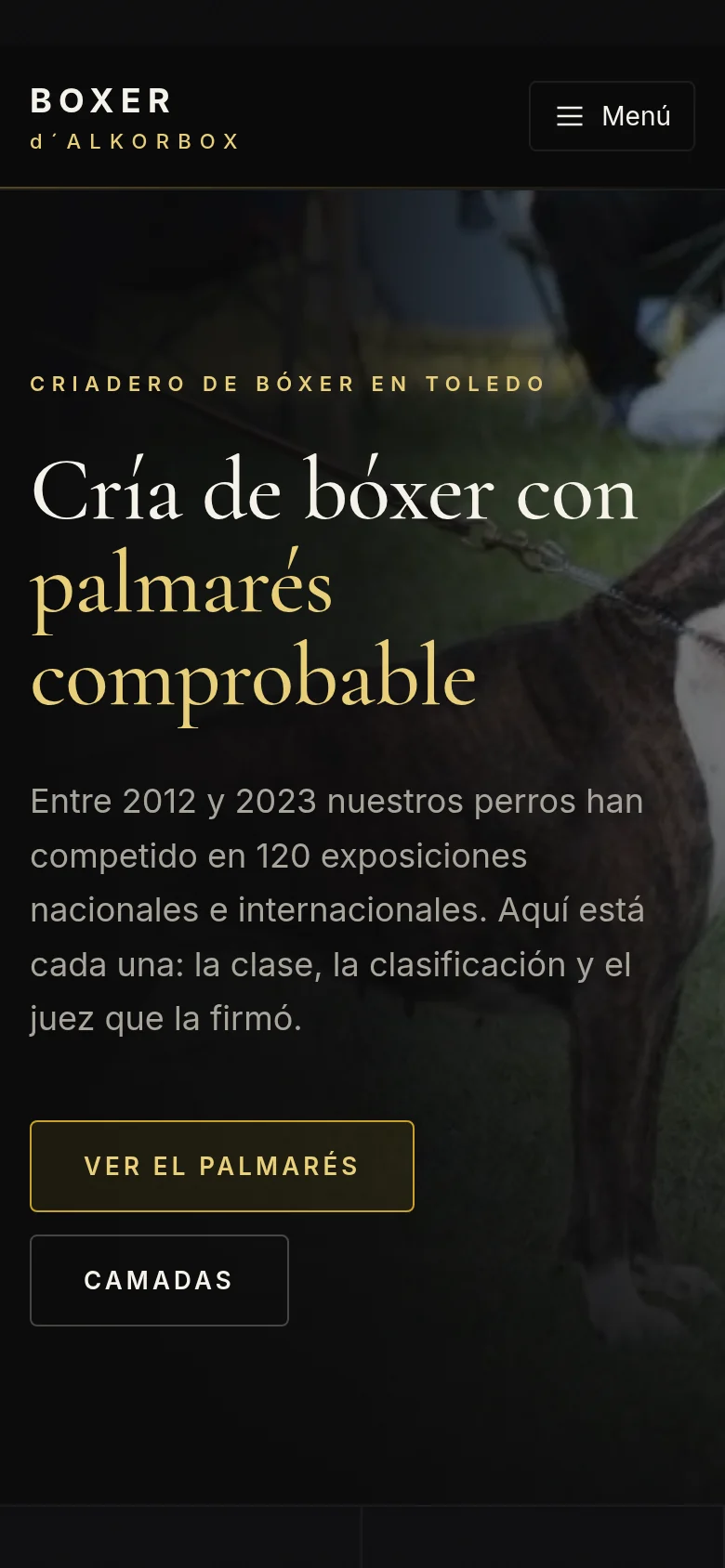 Criadero canino: 120 exposiciones rescatadas de una copia de seguridad — versión móvil