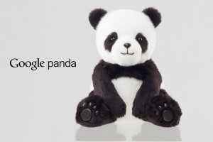 Reglas y normas del SEO para Google Panda