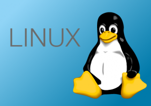 BUSCAR Y ELIMINAR ARCHIVOS CON #FIND Y #RM en LINUX