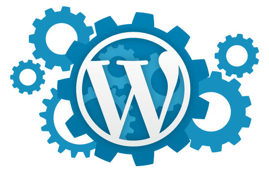 SEO & SEM: ¿Cómo diferenciar ambos servicios?